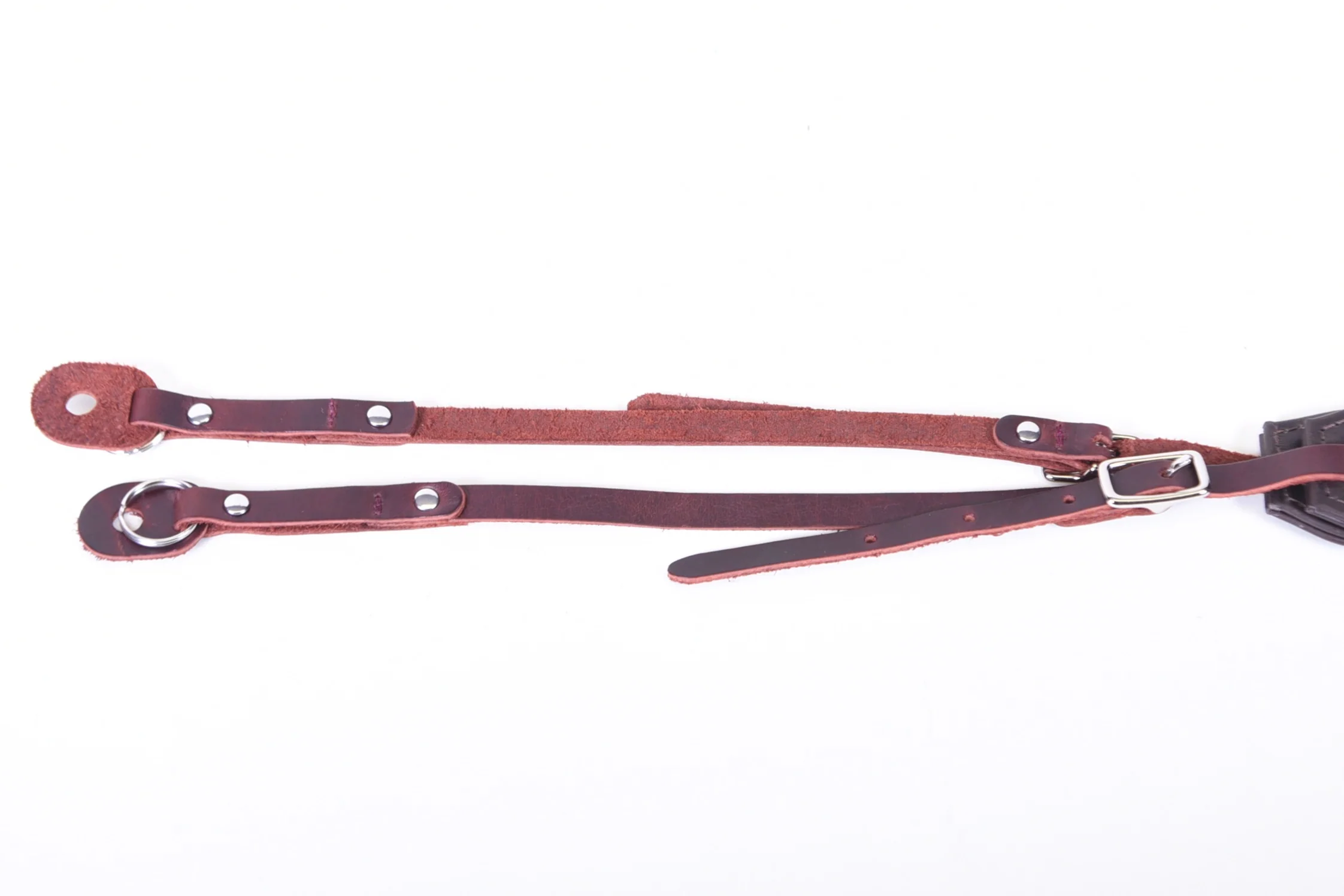 The Presidio - Mirrorless Cameras - Image 10